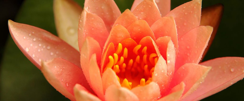 Meditation-helps-with-ADHD